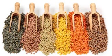 Daulat Farms | Daulat Farms Group of Companies | Daulat Organic Farms