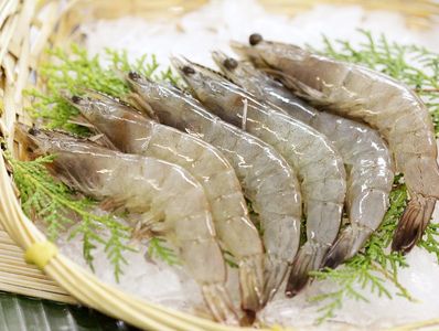 Vannamei Shrimp Exporters in India | Vannamei Shrimp Exporters from India |  Frozen Vannamei Shrimp INDIA, UAE, DUBAI, ABU DHABI, USA, CHINA, MALDIVES,  VIETNAM, SOUTH AFRICA, JAPAN, CANADA, SINGAPORE, OMAN, BANGLADESH, MALAYSIA