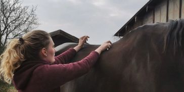 A woman grooming a horse outdoors near a barn on a cloudy day.
