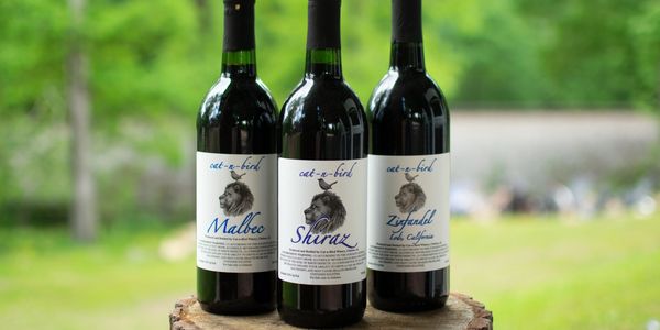 Three wine bottles labeled Malbec, Shiraz, and Zinfandel on a tree stump outdoors.