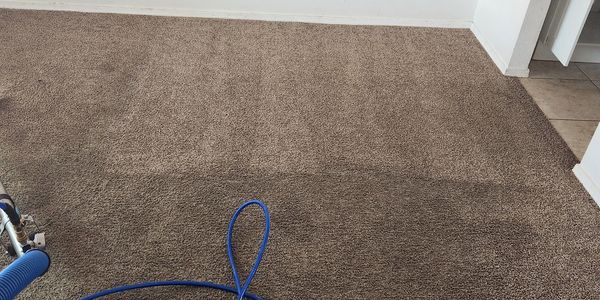 Before and after carpet cleaning