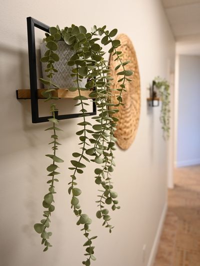 Green trailing plant in wall-mounted planter with decorative background.