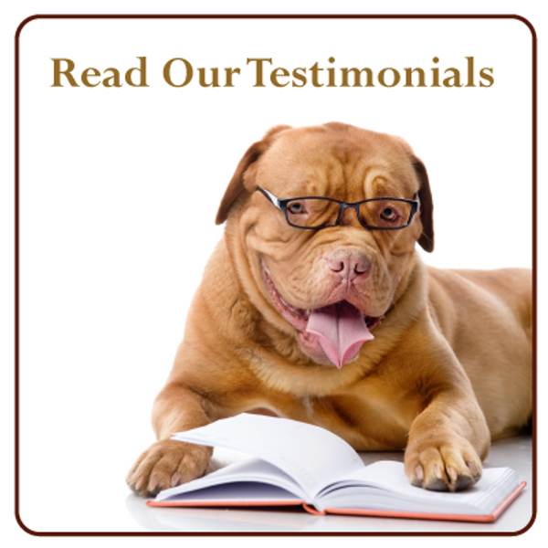 I do not own this image. 