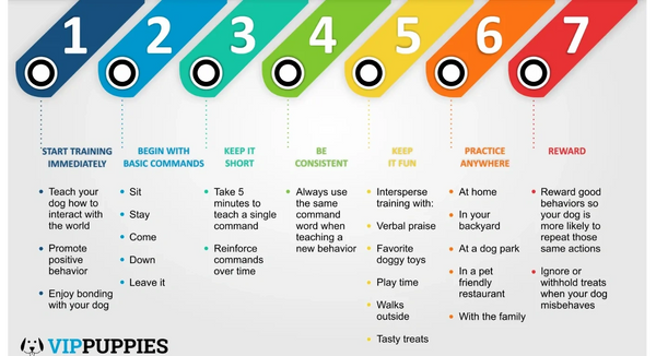 I do not own this image. Copyright @2020 - VIP Puppies, LLC