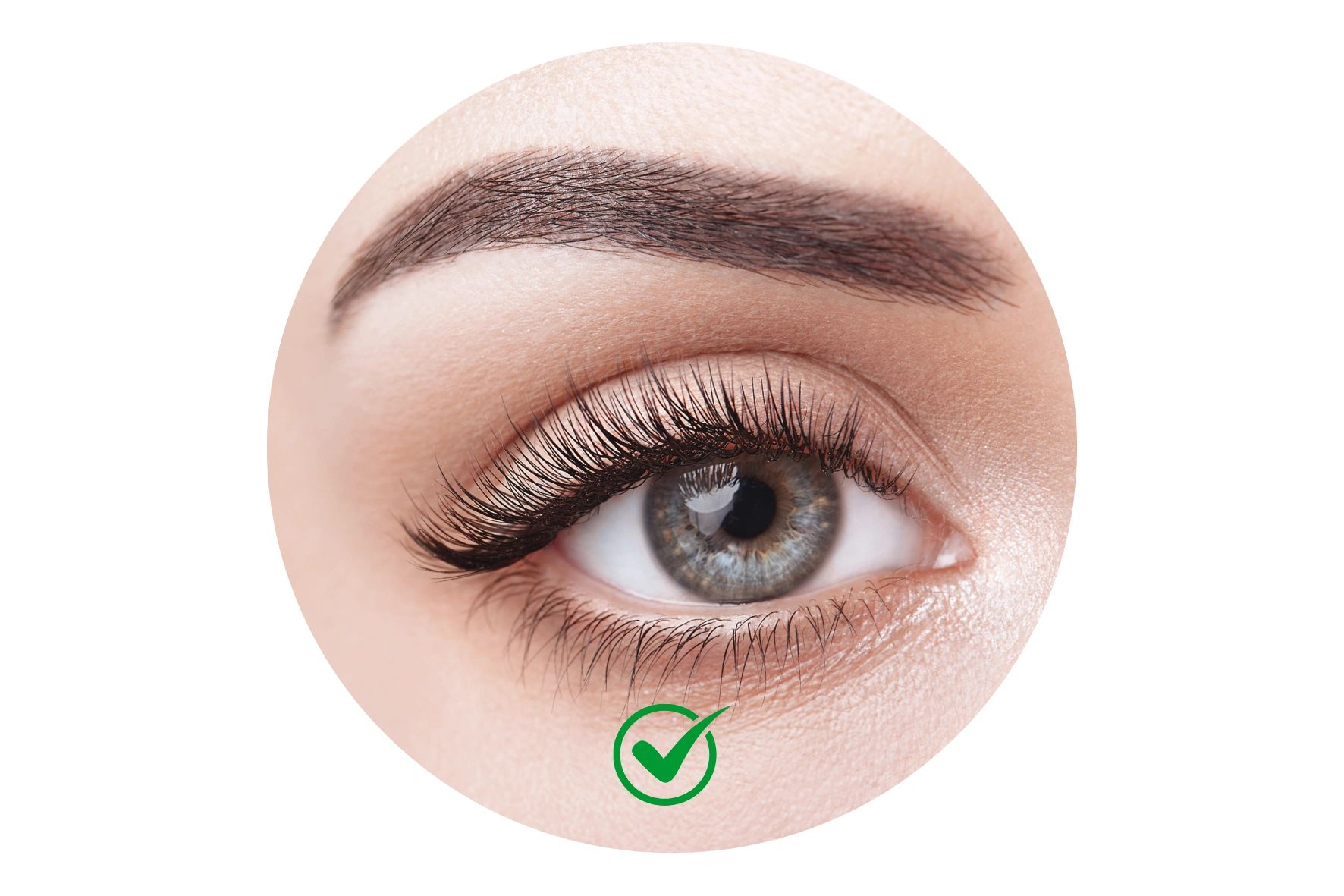 Brow Correction PLUS for color/shape that started from another provider ...