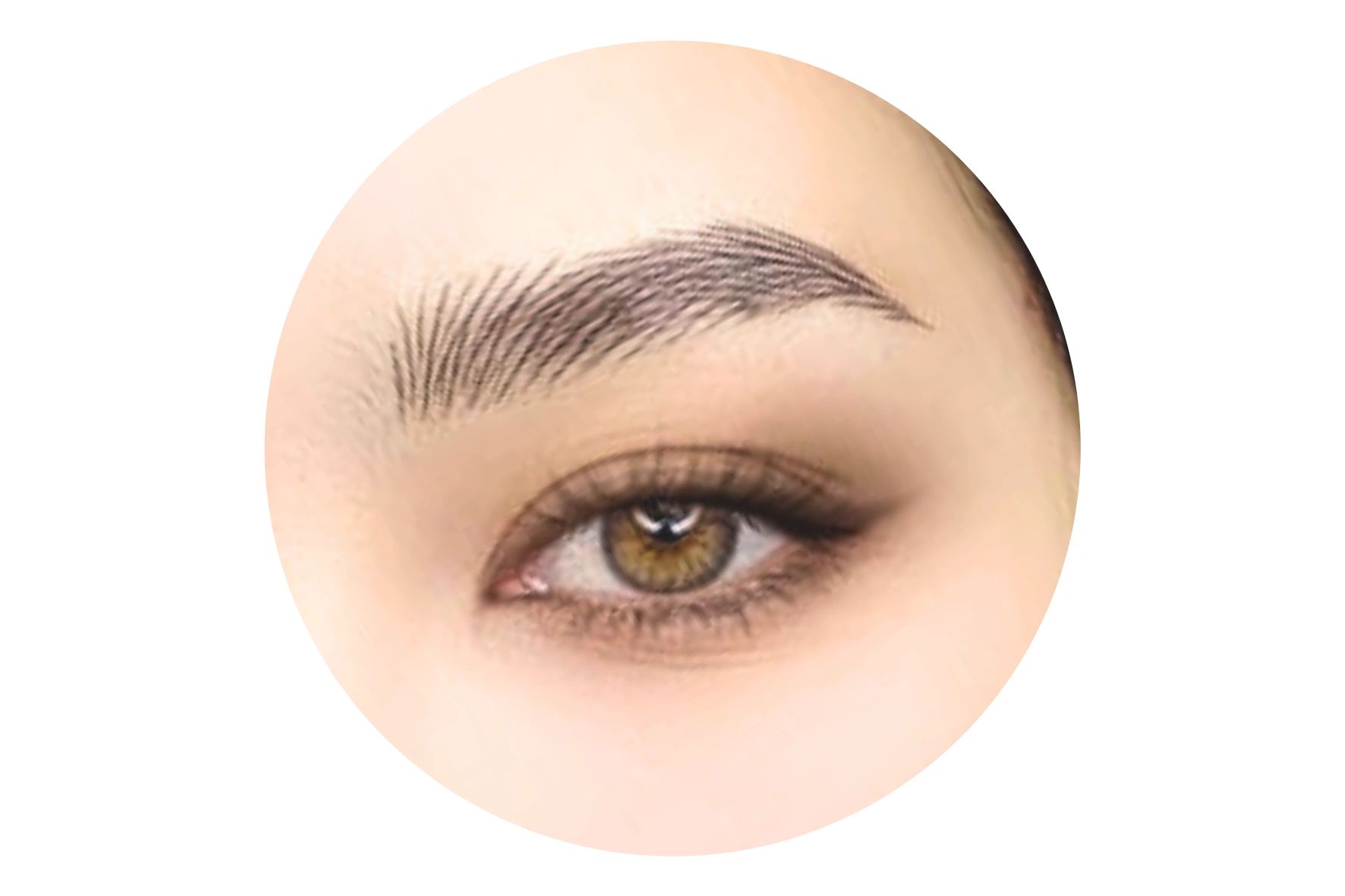 Microblading Basic (legacy method) 1 session 3.5 hrs (Promo $199 ...