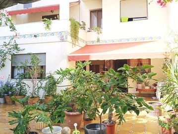 Patio con muchas plantas en macetas y una casa de fondo.