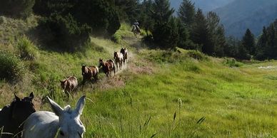 horse packing trips wyoming