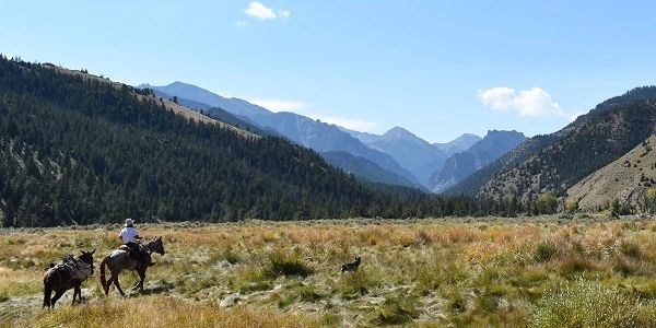 Horseback riding in the Wyoming wilderness- Elk Fork Outfitters