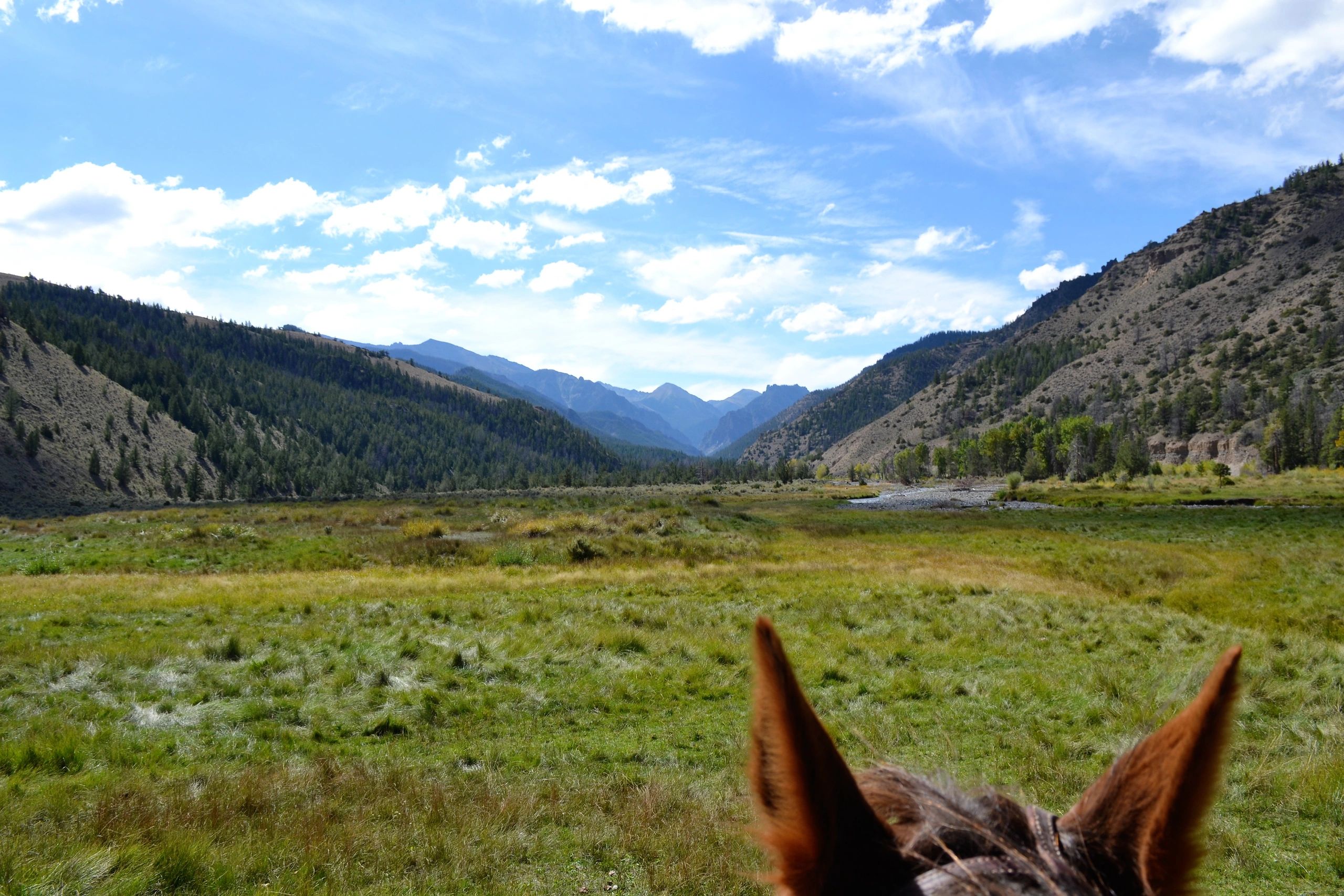 Wyoming Outfitters, Horseback Summer Pack Trips, Wyoming Hunting Trips