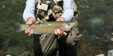 Wyoming Fishing Trips