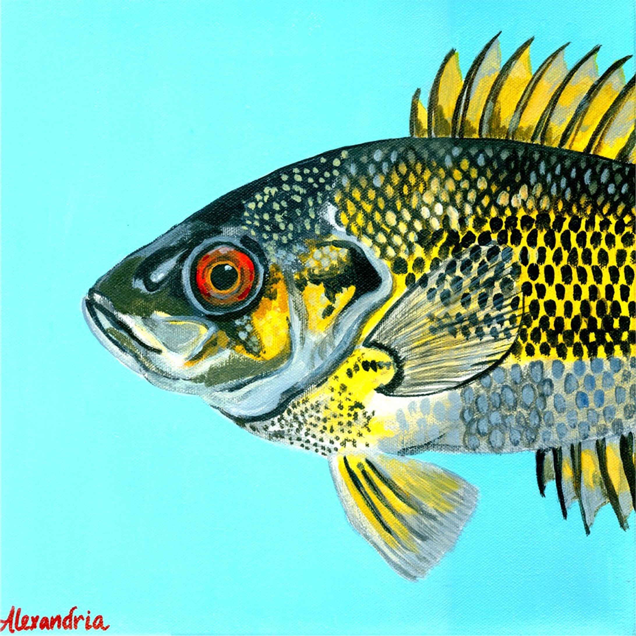 WATERCOLOR ON AQUABORD