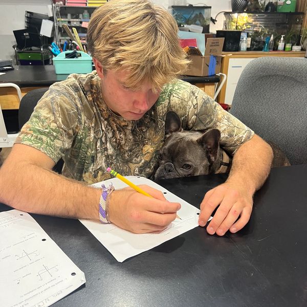 Pricing: One-on-one tutoring: sliding scale of $55-$75 per hour
Groups of two-three: $30-$40 per stu
