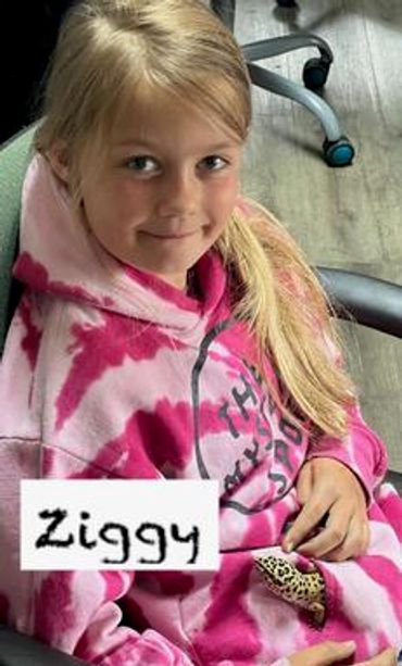 Young girl in a pink tie-dye hoodie sitting and holding a small lizard named Ziggy.