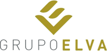 Grupo Elva