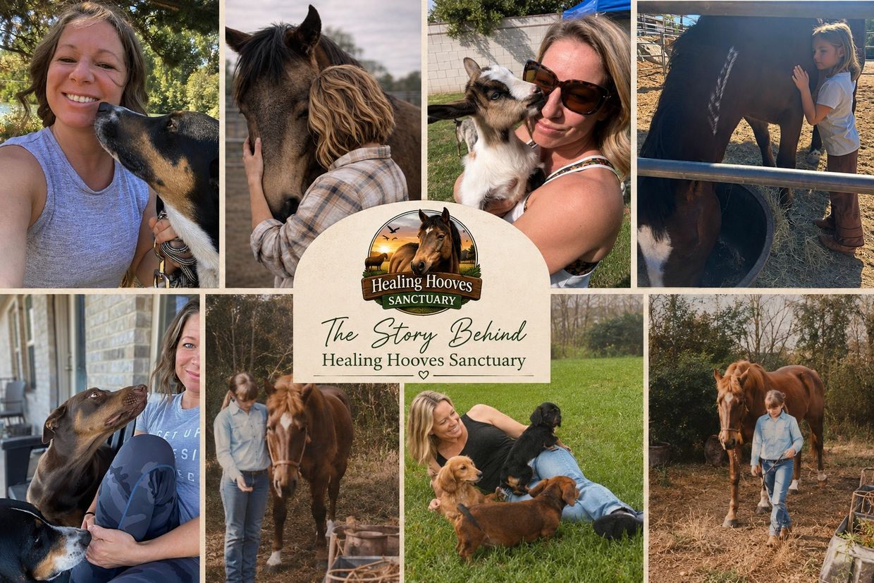 Collage showing loving moments at Healing Hooves Sanctuary with people and animals.