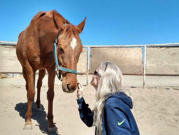 A woman gently interacts with a horse outdoors under clear blue sky.