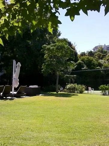 Sunny backyard with lounge chairs and a tennis court.