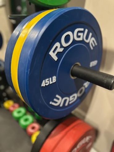 Rogue bumper plates in the home gym