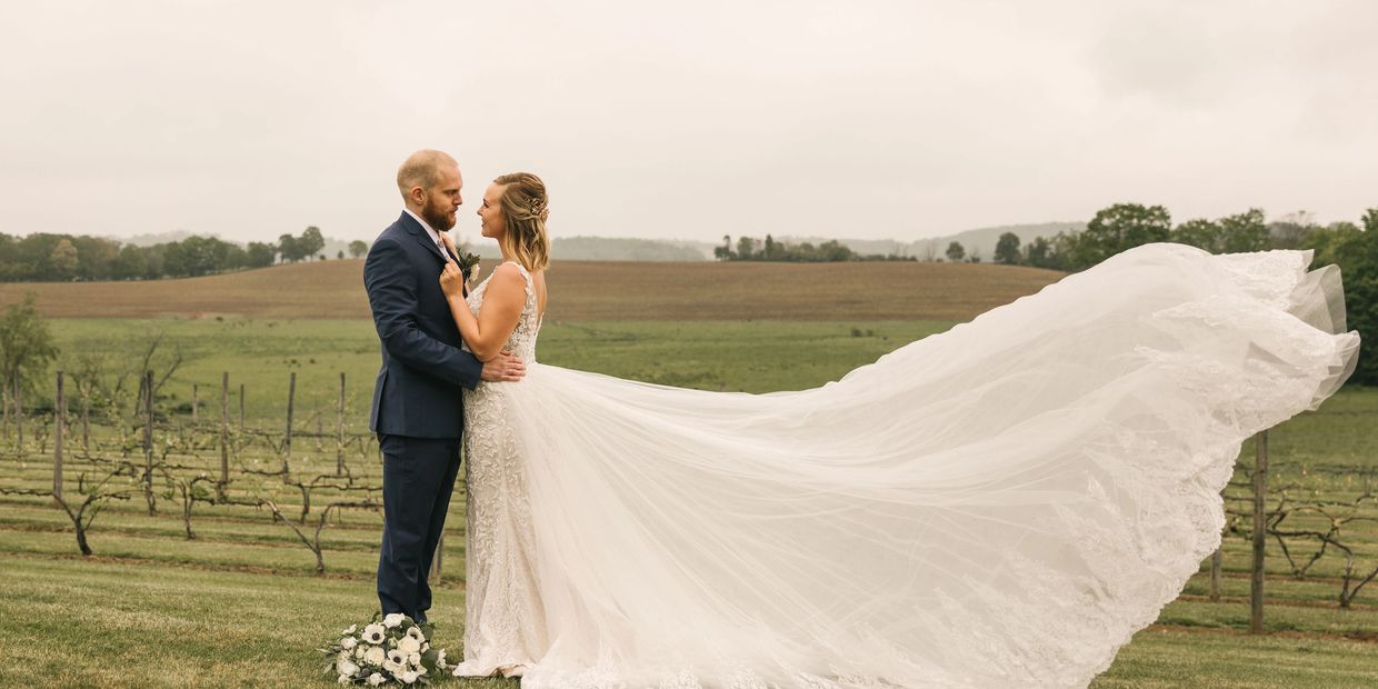 Gorgeous wedding photo over vineyard