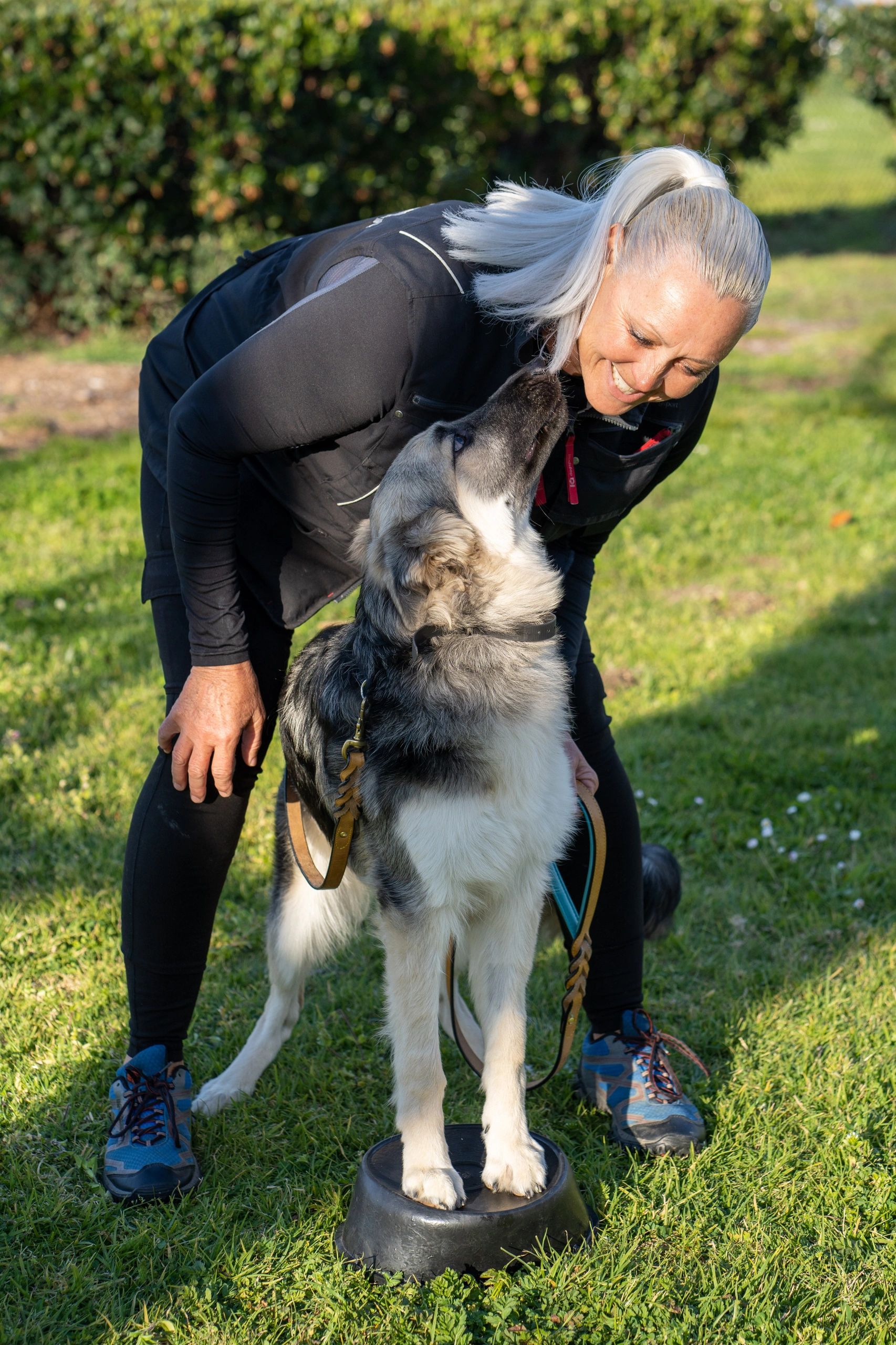 High Performance K9 Training