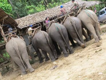 Cul d'elephant Raid 4x4 Thaïlande Enduro voyage découverte piste rouge, tour en voiture 4x4