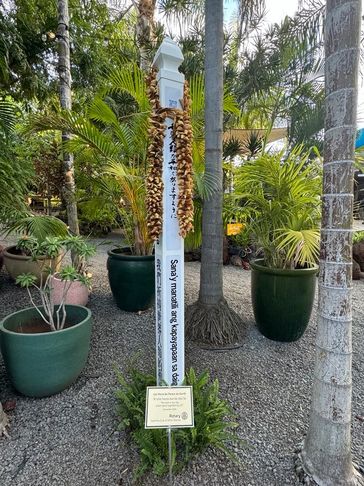 Peace pole with multilingual inscriptions surrounded by plants in a garden.