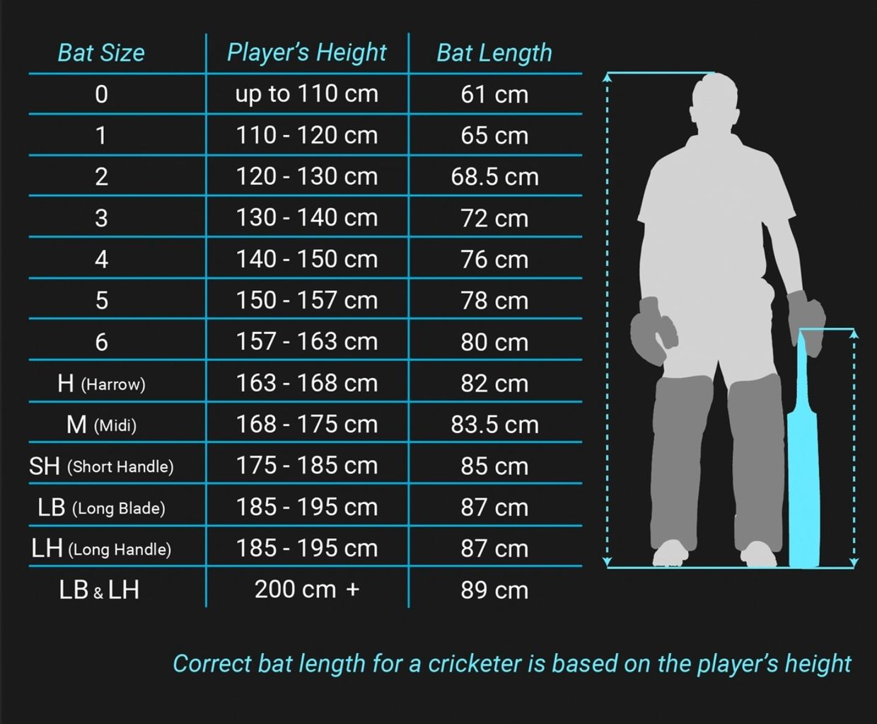 Cricket bat size guide