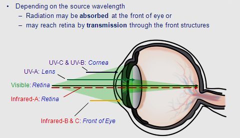 Physiological optics diagram
