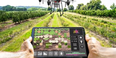 Info-graphic image showing drone controller examining crop health.