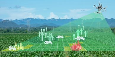 Info-graphic image showing drone in flight detecting changes in crop health.