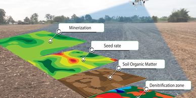 Infographic image showing types of agriculture data:  mineralization, seed rate, etc.