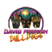Davis French Bulldogs