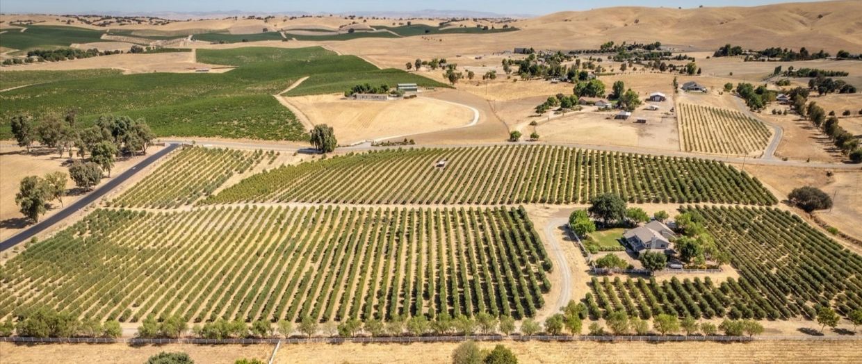 Aerial shot of cops growing