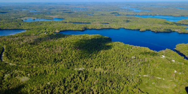 Aerial view of a lush forest with multiple lakes scattered throughout.