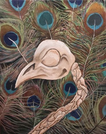 Peacock skull with feathers 