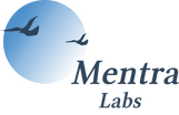 MENTRALABS.COM