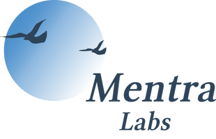 MENTRALABS.COM