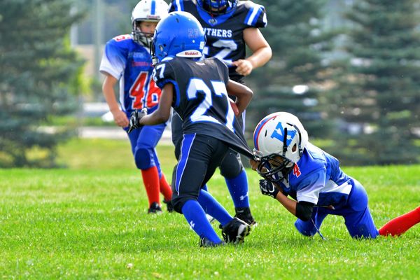 Football
Game
Outside
Summer
Jersey
27
Blue
Red
White