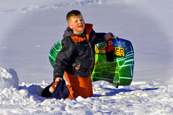 Winter
Fun
Toboggan
Sled
Snow
Boy