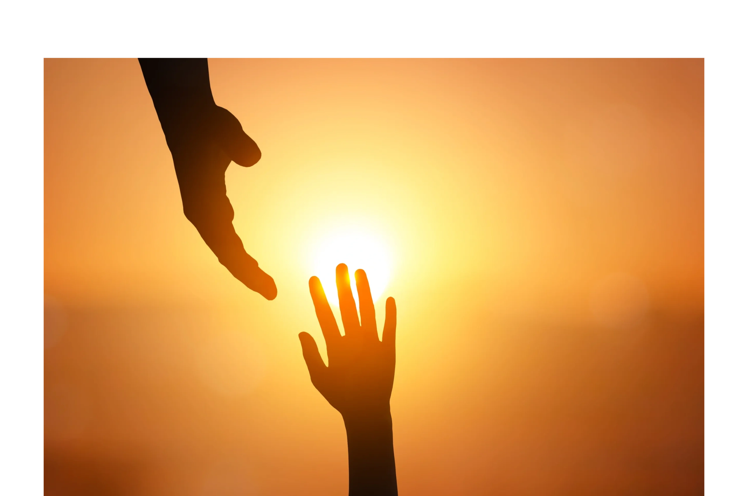 Holistic Psychoeducational Services logo