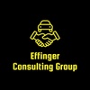 THE EFFINGER CONSULTING GROUP