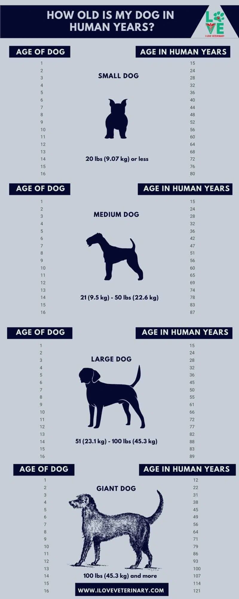 how old 3 years in dog years