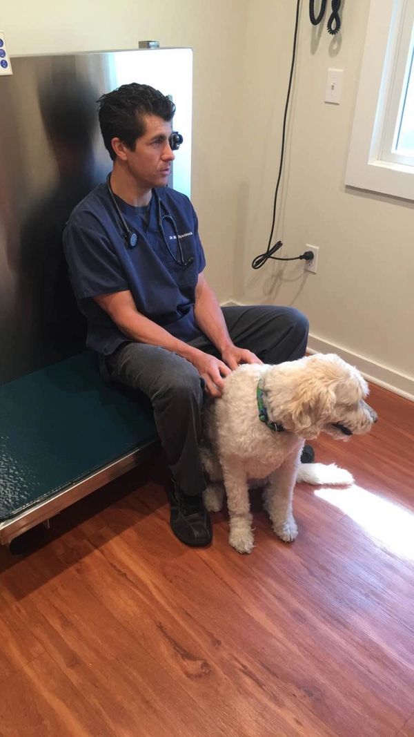 Good Ground Animal Hospital