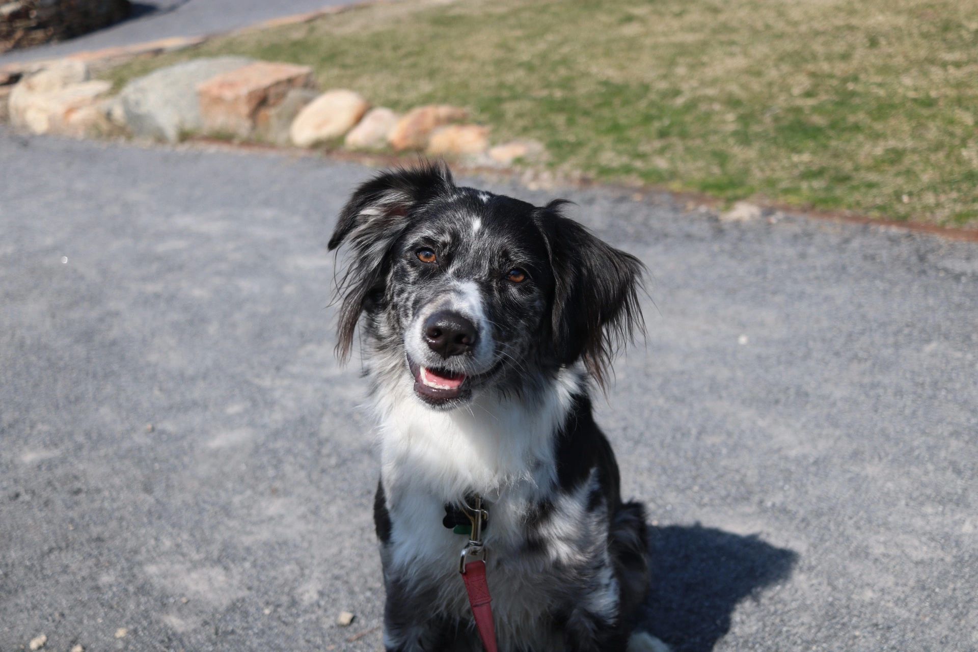 Lyme Disease Awareness Month