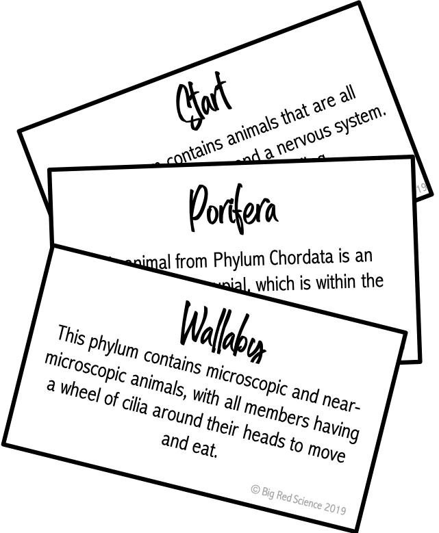 The first 3 cards from my Classification Vocabulary Chain (Phyla of the Animal Kingdom)