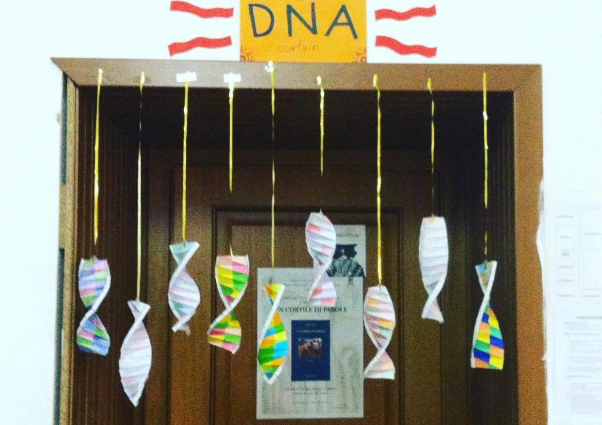 My Class' DNA Curtain