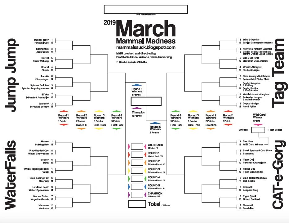 The 2019 March Mammal Madness bracket