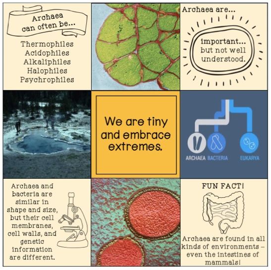 9-Photo Spread for Archaea Instagram Profile