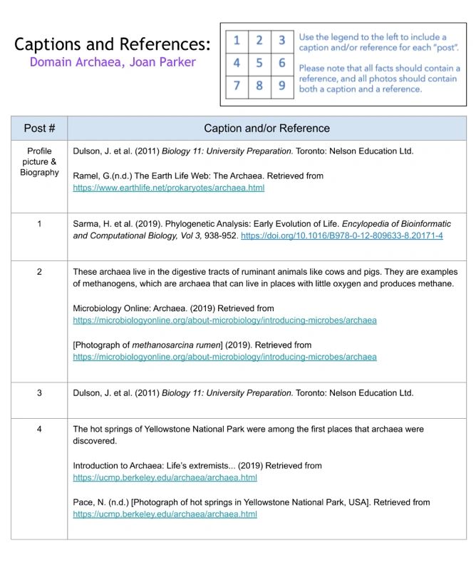 Table that students fill in to show their captions and references for their facts and photos (above table shows info for the biography and the first 4 squares)